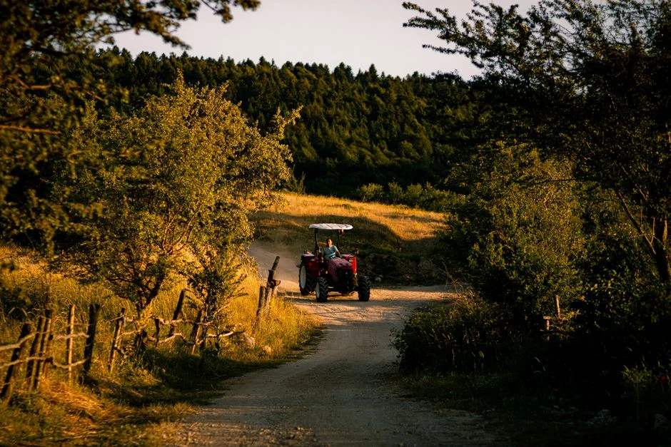 A scenic view of a tractor on a dirt path surrounded by lush greenery at sunset