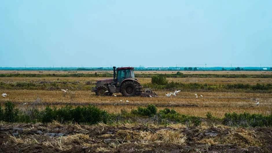 A tractor plows a vast rural field surrounded by birds, depicting peaceful countryside life
