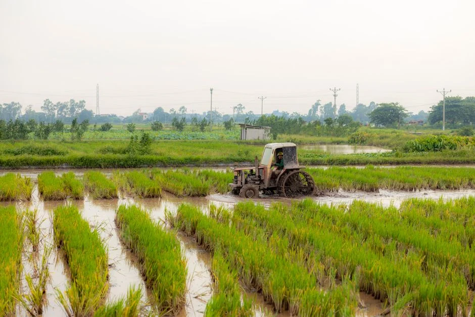 Tractor Tire Types Explained: R1 vs R2 vs R3 vs R4 A tractor plowing through a muddy rice field in a rural area, showcasing traditional farming techniques