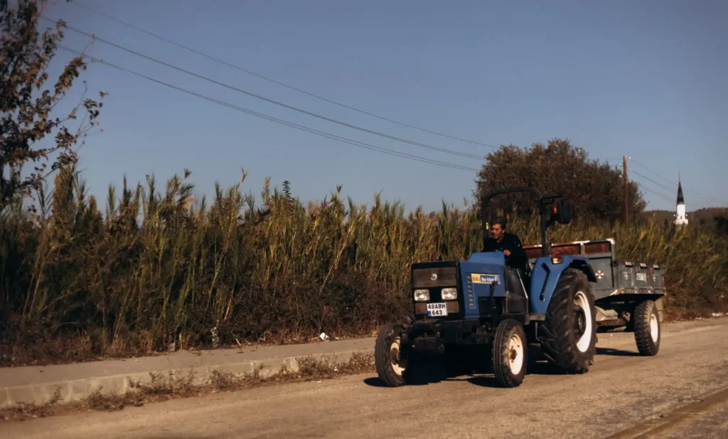 Farmer driving a blue tractor along a rural road beside tall grass