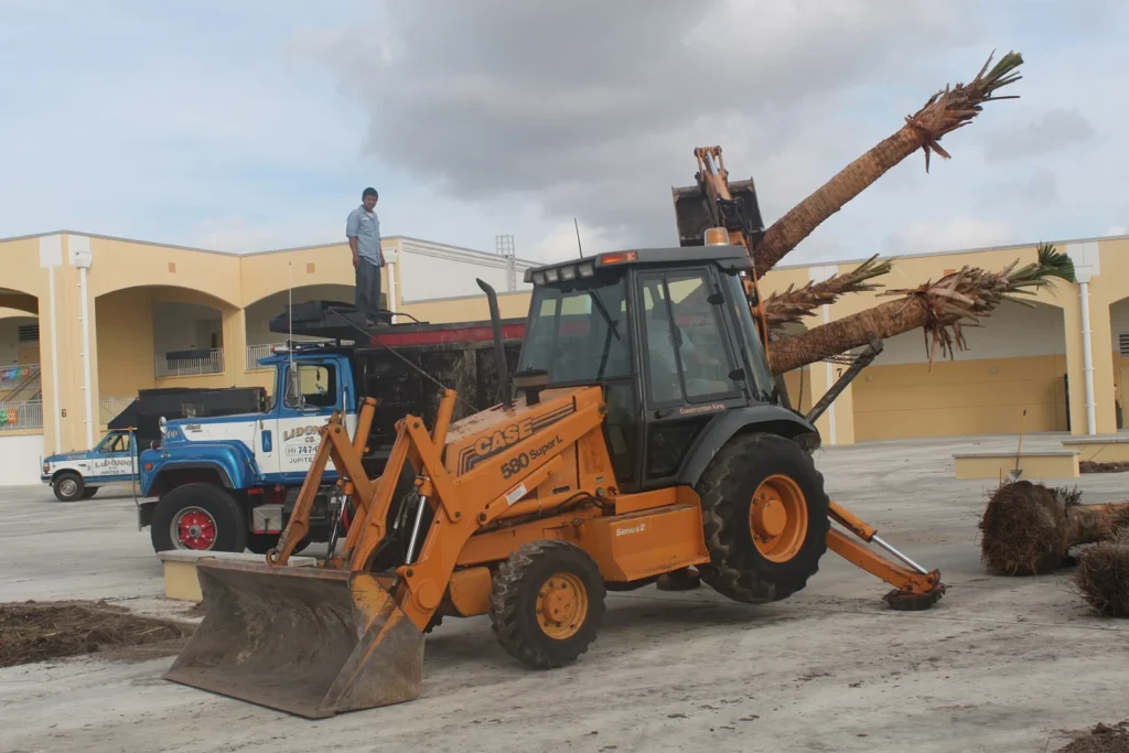 Case 580 backhoe loader clearing palm trunks on a building site