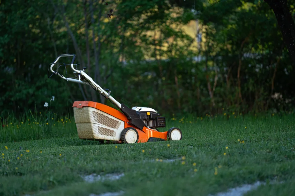 Lawn mower parked on a green backyard lawn