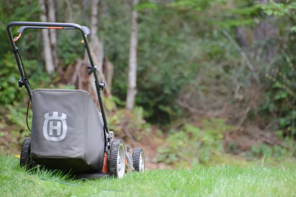 Rear view of a lawn mower on a green lawn with a forest behind
