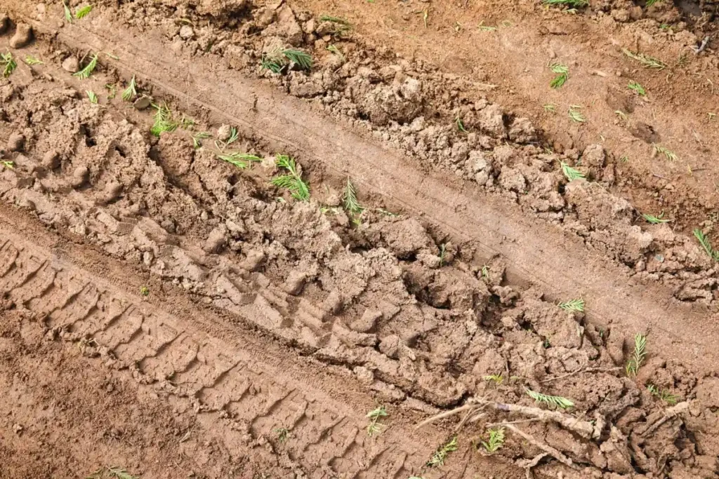 Muddy tire tracks on a dirt road showing the tread pattern