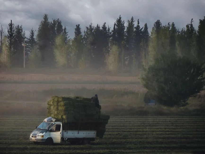 Pickup truck loaded with hay bales in a rural field