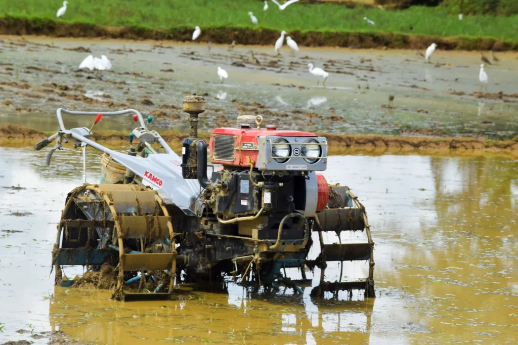 Tractor plowing a flooded paddy field with birds following behind