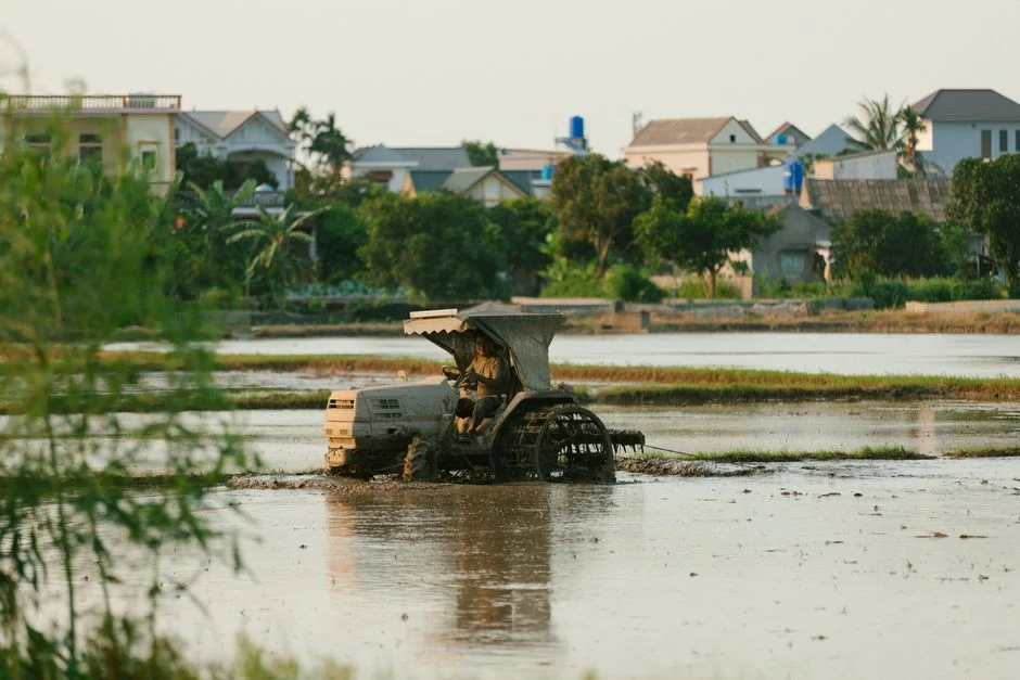 Tracked tractor working a wet rice paddy field