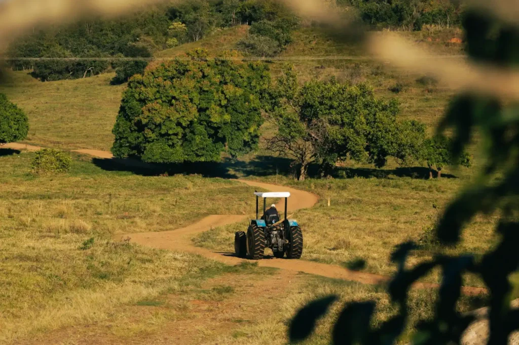 Trelleborg Tires: Who Owns Them, What They Make and Sizes We List A tractor drives along a rural dirt path surrounded by trees and fields on a sunny day.
