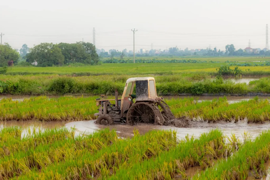 Tractor plowing through a muddy rice field in the countryside