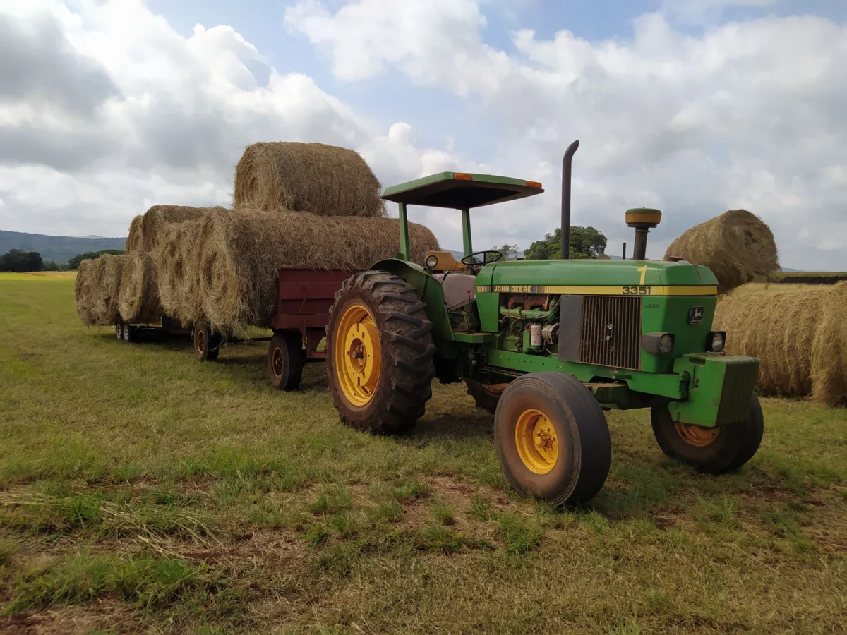 A green tractor pulling a trailer loaded with large hay bales in a rural field.