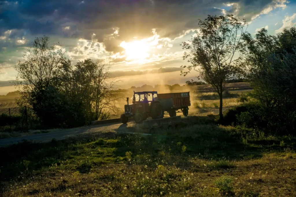 Trelleborg Tires: Who Owns Them, What They Make and Sizes We List A tractor moves through a rural landscape at sunrise, with sunrays filtering through trees and creating a scenic view.